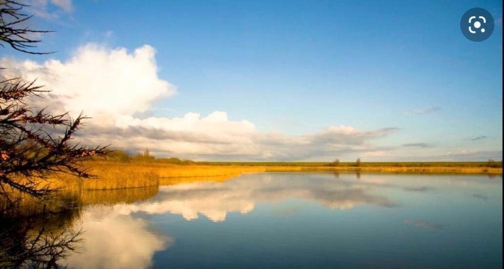 Lauwersmeer 120 Лауэрсог Экстерьер фото